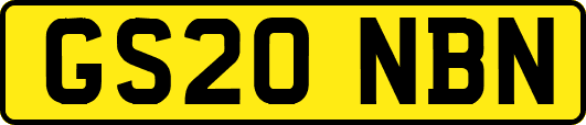GS20NBN
