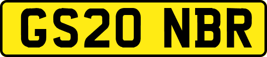 GS20NBR