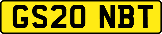 GS20NBT