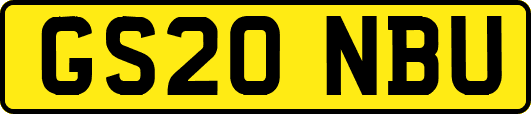 GS20NBU