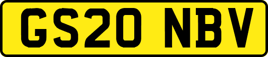 GS20NBV