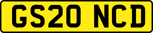 GS20NCD
