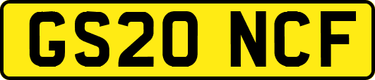 GS20NCF