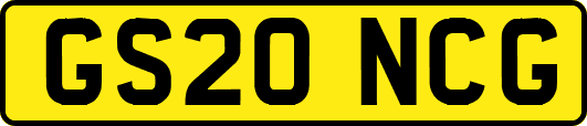 GS20NCG