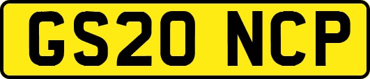 GS20NCP