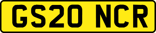 GS20NCR