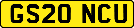 GS20NCU
