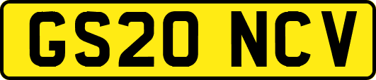 GS20NCV