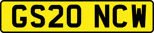 GS20NCW