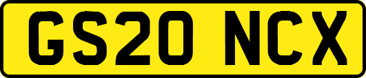 GS20NCX