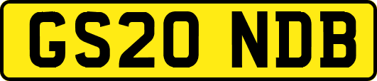 GS20NDB