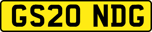 GS20NDG