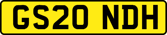 GS20NDH