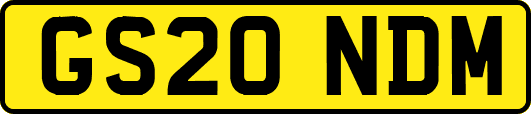 GS20NDM