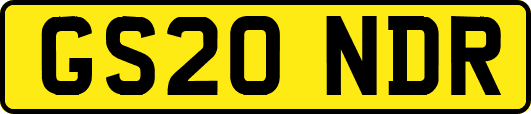 GS20NDR