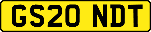 GS20NDT