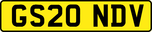 GS20NDV