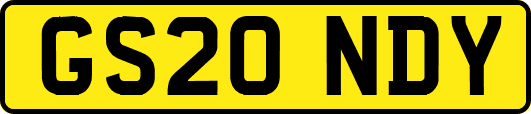 GS20NDY