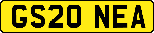 GS20NEA