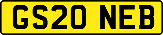 GS20NEB