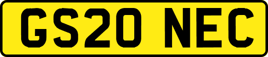 GS20NEC