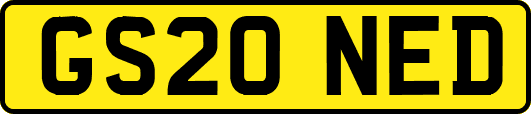 GS20NED