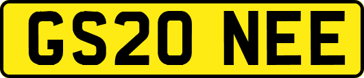 GS20NEE