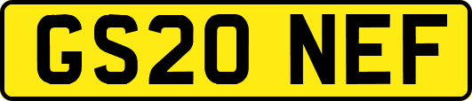 GS20NEF