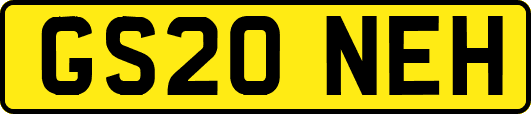 GS20NEH