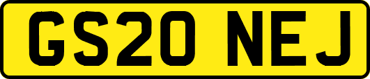 GS20NEJ
