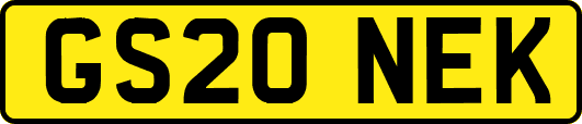 GS20NEK