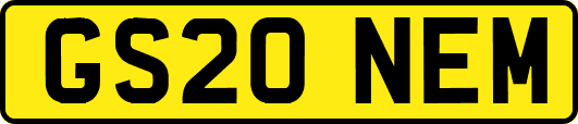 GS20NEM