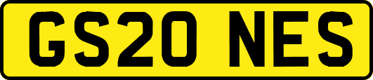GS20NES