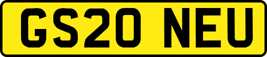 GS20NEU
