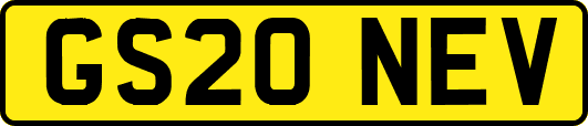 GS20NEV