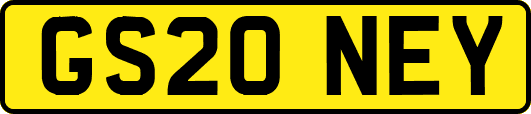 GS20NEY