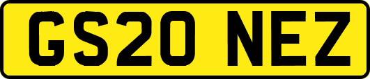 GS20NEZ