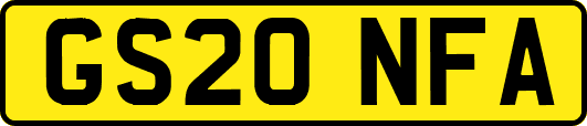 GS20NFA