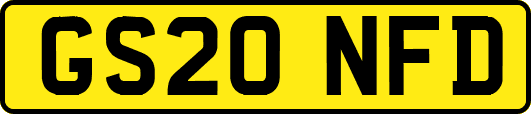 GS20NFD
