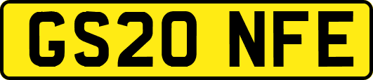 GS20NFE