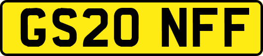 GS20NFF