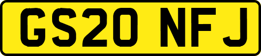 GS20NFJ
