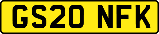 GS20NFK