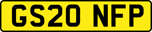 GS20NFP