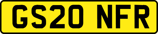 GS20NFR