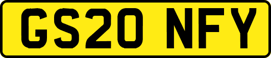 GS20NFY