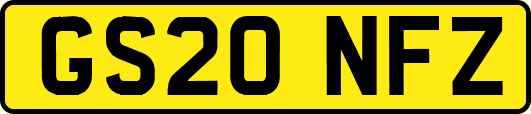 GS20NFZ