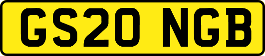 GS20NGB