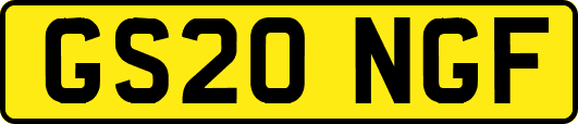 GS20NGF