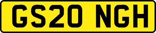 GS20NGH